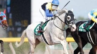 【ブリリアントSハンデ確定】ハヤヤッコは57.0kg、バンクオブクラウズは55.0kg