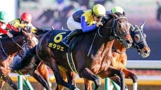 【新潟大賞典ハンデ確定】ポタジェは56.0kg、ボッケリーニは57.0kg
