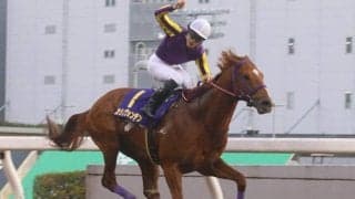 【かしわ記念】カジノフォンテン陣営の思い  ー地方競馬の大将としてー