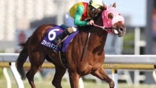 【船橋・若潮スプリント結果】ファイナルキングが逃げ切り新設重賞を制す