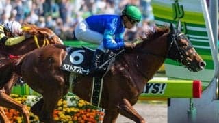 【先週のJRA抹消馬】18年メトロポリタンS覇者のベストアプローチ、19年水無月S覇者のウインストラグルなど