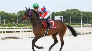 【兵庫CS】幸「芝でもダートでも」リプレーザ3連勝で重賞初制覇