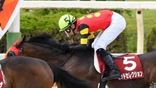 【兵庫CS】中井「適正の差」レース後ジョッキーコメント