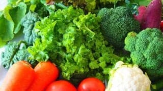 今、世界のアスリートに広がる植物性食品　栄養面から考えるメリット＆デメリットとは