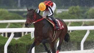 【園田・兵庫大賞典結果】ジンギが断然人気に応え逃げ切りV