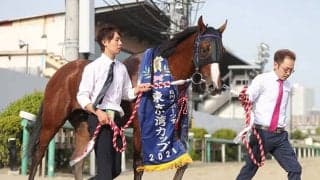 【地方競馬】東京湾カップ、売得金レコード更新