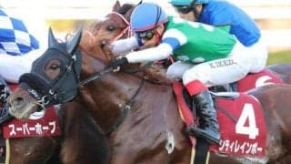 【NHKマイルC】シティレインボー陣営「磨けばもっと光る馬」/ねぇさんのトレセン密着