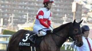 【門別競馬情報】ダッシュ速い先行馬が揃って激戦必至！決め脚比べでゴール前、態勢一変のシーンも「シスキン・プレミアム」/地方競馬情報