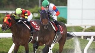 【兵庫CS回顧】鞍上の好判断・好騎乗でリプレーザ/斎藤修