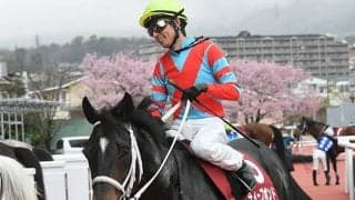 【海外競馬】天皇賞2着ディープボンドが凱旋門賞へ、フランスギャロが報じる