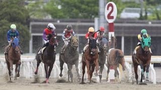 【地方競馬】あわや大惨事！ 船橋競馬で馬がレース中に逆走