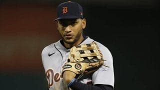 【MLB】母親が見せた「並外れた守備」　隣の子どもに飛んできたファウルを「ナイスキャッチ」