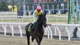 【かしわ記念】戸崎「向こう正面で挟まれたが…」ソリストサンダーは惜しい2着