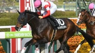 【新潟大賞典展望】1番人気が14連敗中のハンデ重賞