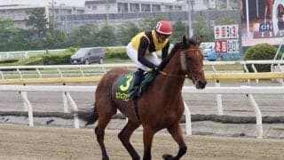 【かしわ記念】ルメール「あまり進まなかった…」レース後ジョッキーコメント