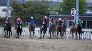 カラ馬逆走 直線であわや衝突…