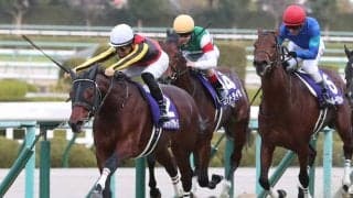 【NHKマイルカップ】グレナディアガーズは4枠8番