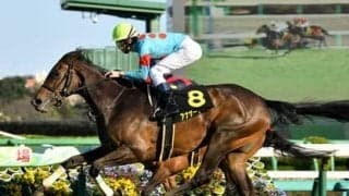 高配当続出のNHKマイルＣ。穴党記者がほくそ笑む一戦で狙いを定めた３頭