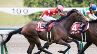 【京都新聞杯】ディープ産駒 レッドジェネシスが差し切り！重賞初V