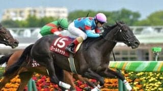 オークスでの台頭なるか。クールキャットは「もともと重賞クラスの器」