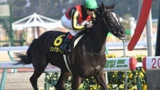 【NHKマイルC予想】人気薄を買わなければ当たらない？狙える激走穴馬候補は「前走重賞惜敗タイプ」か！