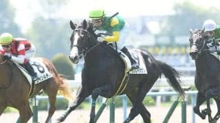 【新潟大賞典予想】今年も波乱必至!? 波乱の使者は“時計のかかる馬場を得意とするサウスポー”