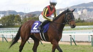 【本日の注目ポイント】3歳マイル王決定戦・NHKマイルC