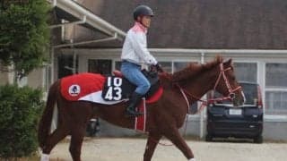 【NHKマイルC】ホウオウアマゾン矢作師「バランスが良くなっていい状態」/ねぇさんのトレセン密着