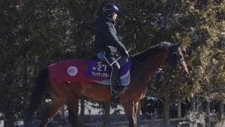 【NHKマイルC】グレナディアガーズ中内田師「よい状態で出走できる」/ねぇさんのトレセン密着