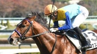 【NHKマイルC】ルークズネスト浜田師「成長を感じました」/ねぇさんのトレセン密着