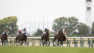 【万哲の馬場予報】良馬場の東京開催だが、内＆前にこだわる舞台設定ではない