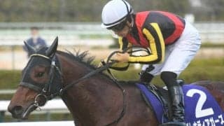 【WIN5予想】NHKマイルCはどの重賞で好走してきたかが重要/伊吹雅也