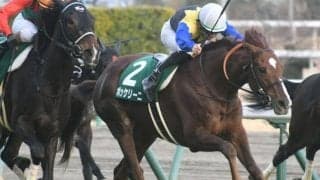 【新潟大賞典前日オッズ】ボッケリーニが3.6倍で1番人気