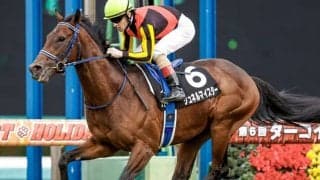 【NHKマイルC・馬体重】シュネルマイスターは480kg(0)、ホウオウアマゾンは486kg(-10)