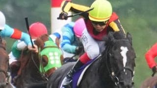 【NHKマイルC】池添謙「最後に左手前に…」レース後ジョッキーコメント