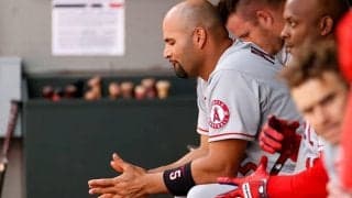 【MLB】プホルス戦力外が“指揮官批判”騒動に発展…　マドン監督は否定も残る後味の悪さ