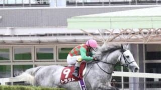 【京都ハイジャンプ予想オッズ】トラストが予想1番人気に