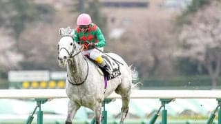 【京都ハイジャンプ想定騎手】トラストは熊沢重文騎手、ケイブルグラムは蓑島靖典騎手