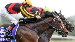 【NHKマイルC回顧】「ゴール前の鋭い決め手が持ち味」種牡馬としても成功したシュネルマイスターの父キングマン/栗山求