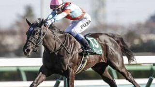 【栗東Sハンデ確定】アブレイズは54.0kg、スリーグランドは56.0kg