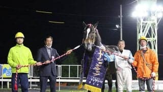 ばんえい競馬低迷期の活躍馬たち　いまは産駒が大活躍！/斎藤修