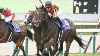 【ヴィクトリアマイル予想オッズ】グランアレグリアが1.2倍で抜けた人気に