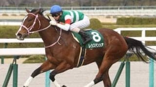 ヴィクトリアマイルで注目の２頭はレースと好相性の血統で安定の走り