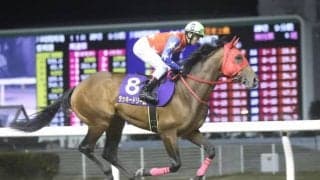 【門別競馬情報】JBC2歳優駿JpnIII勝ちラッキードリームにエーデルワイス賞JpnIII圧勝ソロユニットら実績馬が勢揃い！「第45回北斗盃H2」/地方競馬情報