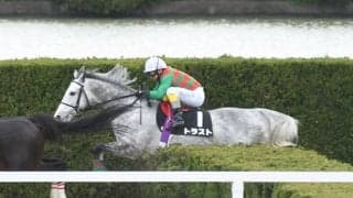 【京都ハイジャンプ出走馬・騎手確定】トラスト＆熊沢重文騎手、スマートアペックス＆中村将之騎手など11頭