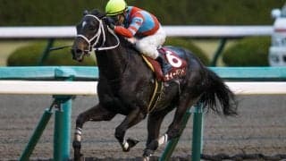 【2021凱旋門賞】日本馬6頭が登録