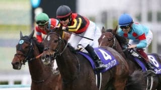 【ヴィクトリアマイル】出走馬の調教後の馬体重