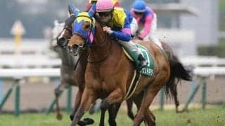 ヴィクトリアマイルは３つの穴パターンから浮上する３頭で高配当を狙え