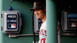 【MLB】大谷翔平、驚異のパワー裏付ける“マッチョボディー”に米再脚光「この腕っぷし見て」