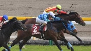 ダービーで台風の目となるか。「長くいい脚を使える」ワンダフルタウン